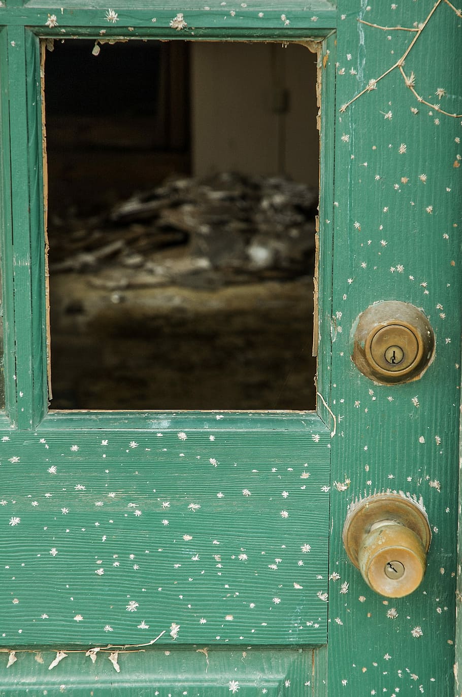 Rustic, Door, Abandoned, Broken Window, rustic door, green, junk, junk pile, window, antique