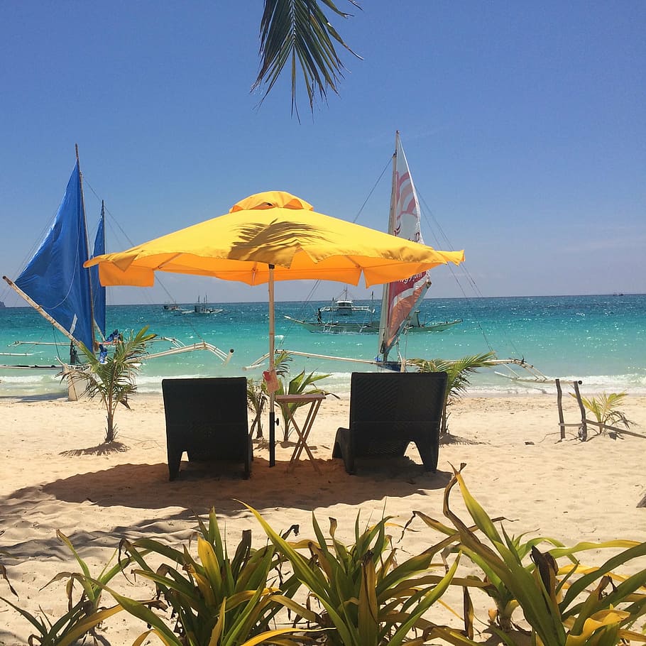 palm trees, sunshade, umbrella, yellow, beach, summer, travel, sun, vacation, philippines