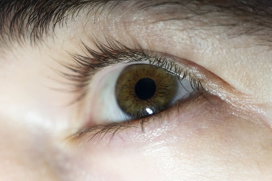 eye, man, person, brown, eyebrow, guy, human eye, eyesight, eyelash, sensory perception