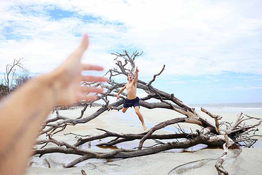 man, jumping, driftwood, sea, clouds, branches, hands, people, beach, nature