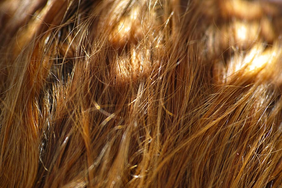 hair, texture, abstract, background, macro, detail, wire, yellow, brown, auburn