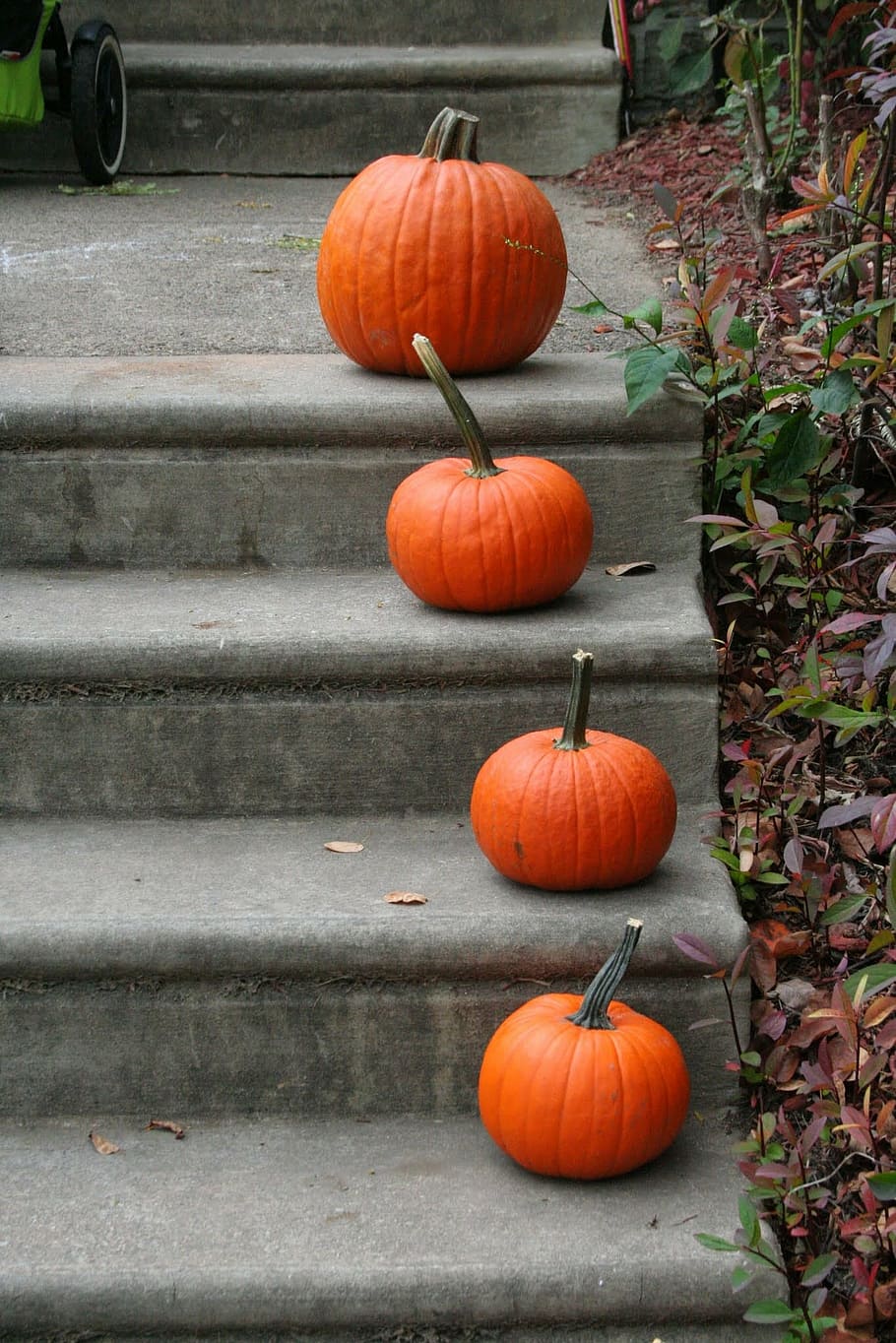 pumpkin, gray, surface, steps, orange, halloween, fall, autumn, entry, decorate