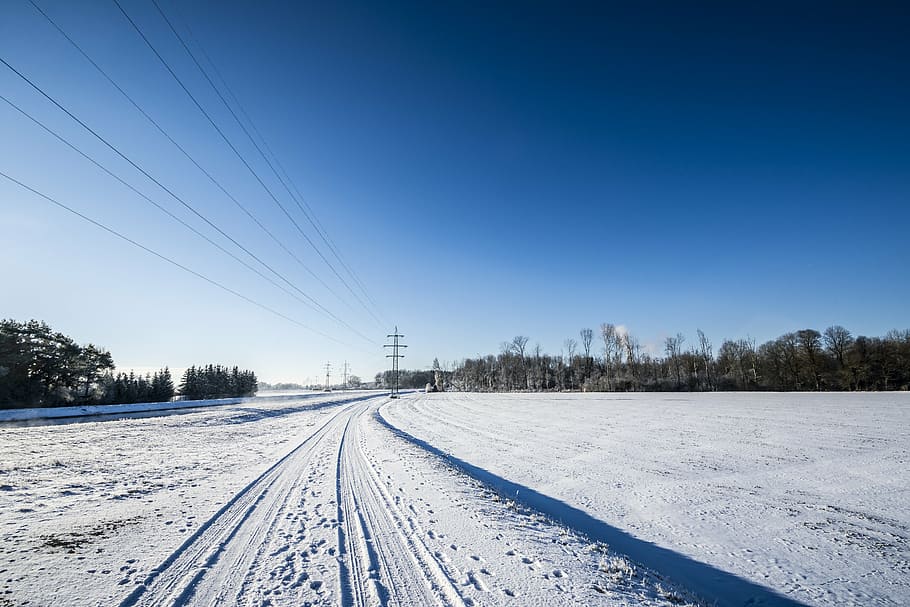winter, landscape, snow, power line, line, nature, wintry, tree, cold, clouds