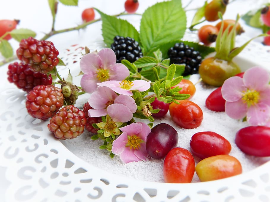frutas variadas, bayas, frisch, frutas, bio, otoño, maduro, vitaminas, saludable, moras