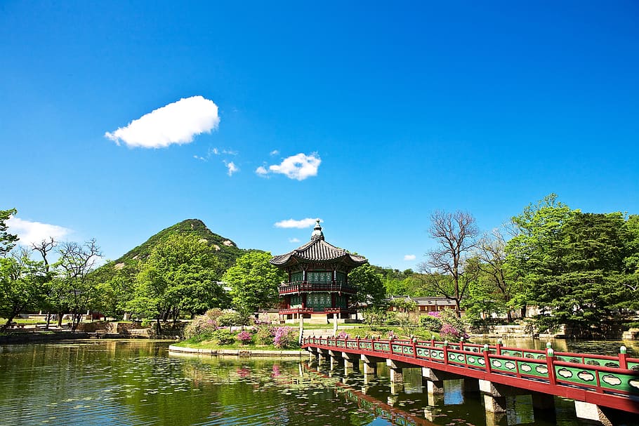 merah, hijau, jembatan, tengah, kolam, siang hari, menuju taman, istana gyeongbok, genteng, properti budaya