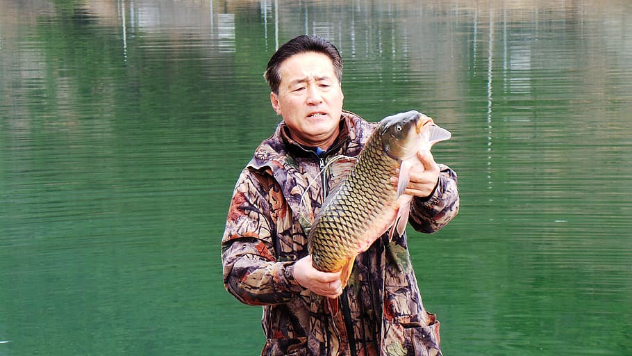 fisherman, carp, seomjin, monthly cleaning, one animal, water, one person, vertebrate, lake, nature