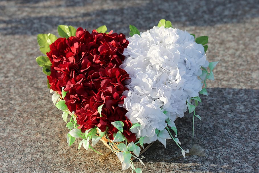 heart, artificial flower decoration, red and white roses, condolence, gravestone, grave, cemetery, outdoor, flower, flowering plant