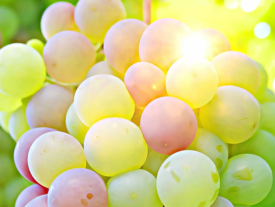 closeup, photography, green, grapes, grape, crop, wine, cluster crop, berry crop, fruit