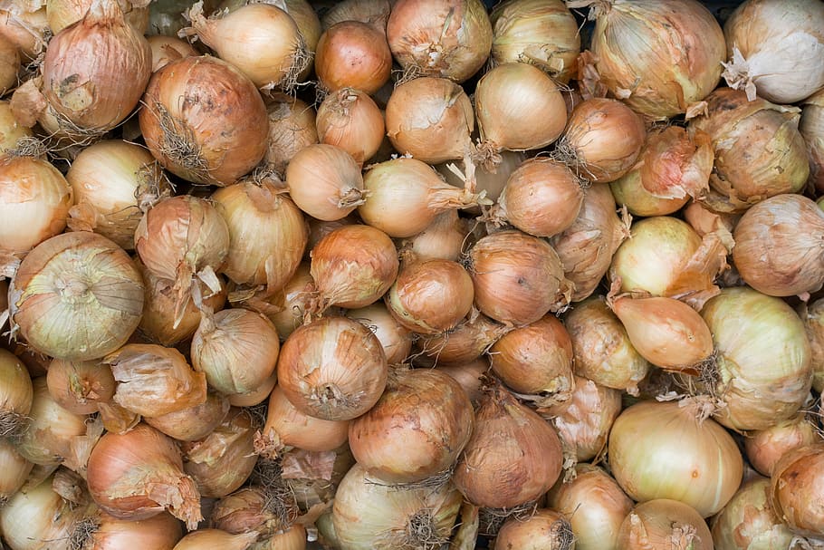 Onions, filled frame, onion, vegetables, food, freshness, vegetable, food And Drink, healthy Eating, market
