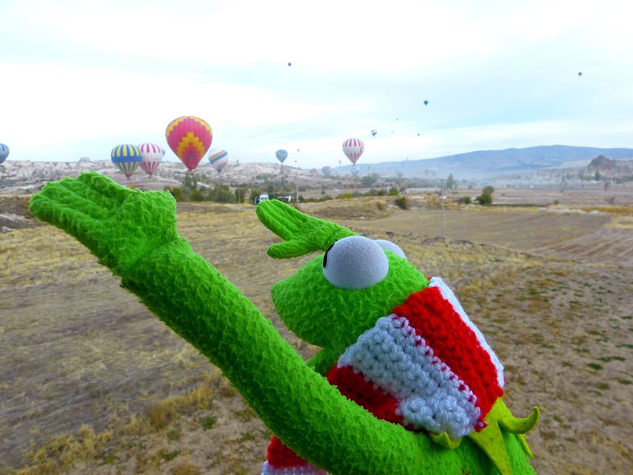 Entusiasmo, Kermit, Rana, Ir, Globo, ir en globo, colorido, globo aerostático, volar, conducir