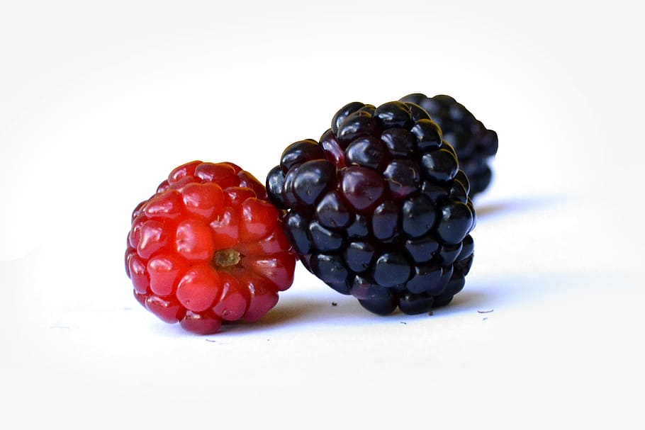mulberry, fruit, wild fruits, blackberry purple, red fruits, food and drink, healthy eating, food, wellbeing, freshness