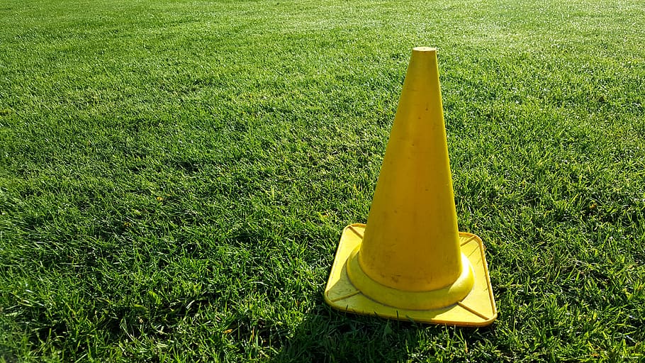 cone, football, barrier, grass, rush, nature, meadow, yellow, plant, green color
