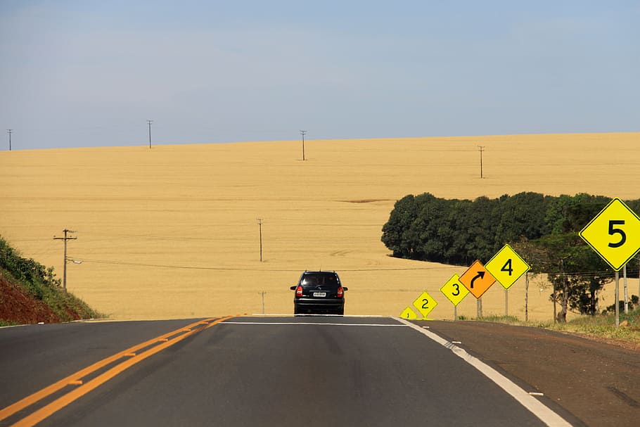 ride, car, road, path, asphalt, paraná, plantation, yellow, wheat, fields