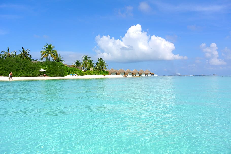 fotografía, resort de playa, durante el día, maldivas, cocotero, mar, resort, verano, vacaciones, cielo