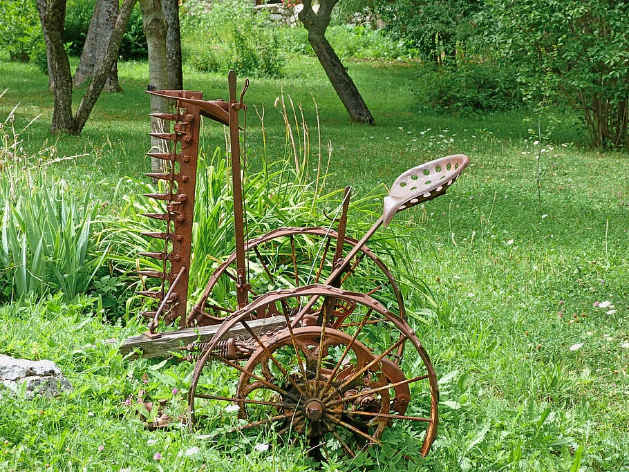 agricultural equipment, old, rust, mower, plant, grass, animal, green color, land, one animal