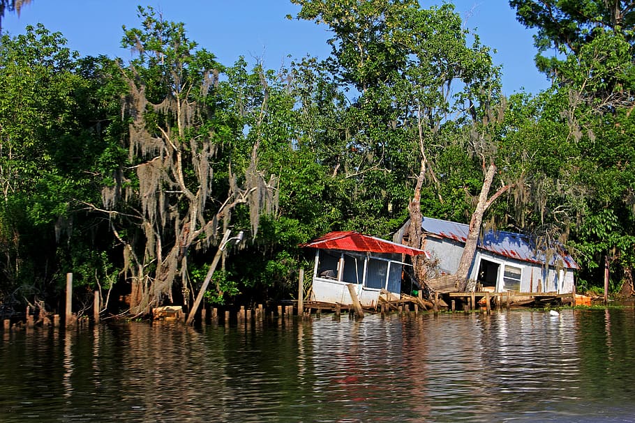 diladitated, camp, river, swamp, hurricane, destroyed, house, ruin, storm, broken