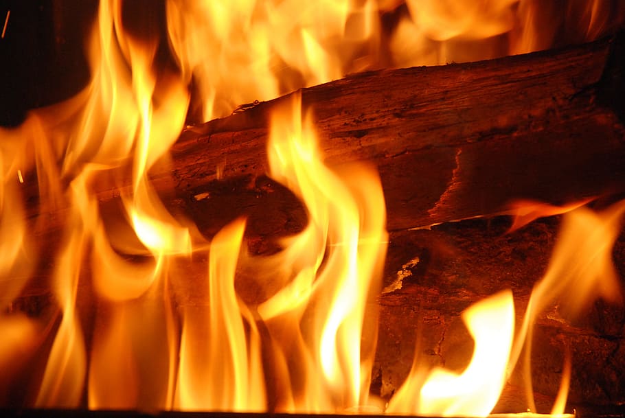 fire, flames, wood, inflamed, logs, chocolate yule log, burning, flame, fire - natural phenomenon, heat - temperature