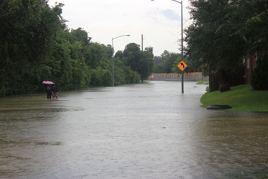 badai harvey, banjir, sepasang, jalan, houston, air, bencana, kerusakan, lingkungan, badai