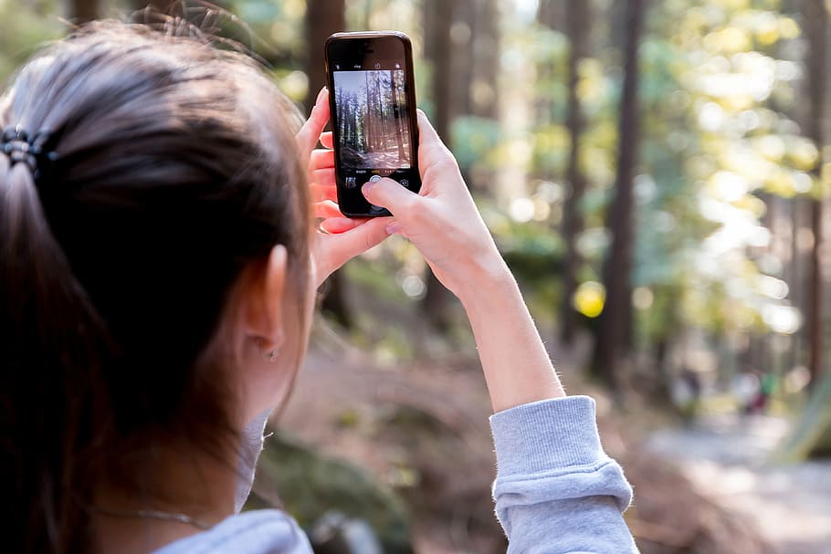 wanita, mengambil, foto, pohon, blur, ponsel, close-up, perangkat, fokus, hutan
