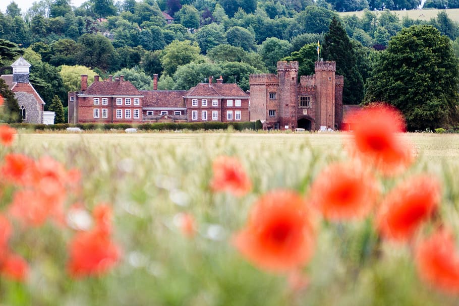 uk, countryside, poppies, poppy, stately home, landscape, england, rural, english, britain
