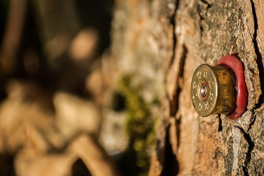 cartridge, hunting, melted, ammunition, fall, hunter, close-up, metal, tree trunk, trunk