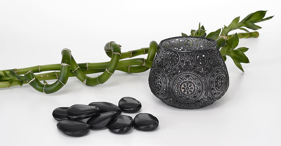 black, stones, vase, bamboo, luck bamboo, massage, hot stones, relaxation, recovery, balance