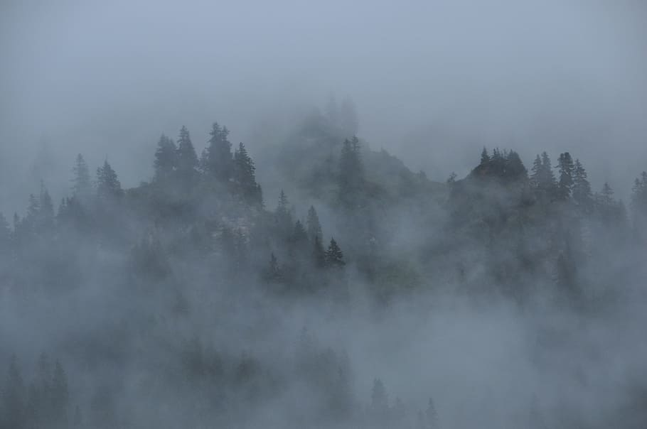 foggy mountain, fog, clouds, mountains, forest, nature, landscape, mystical, mysterious, atmospheric