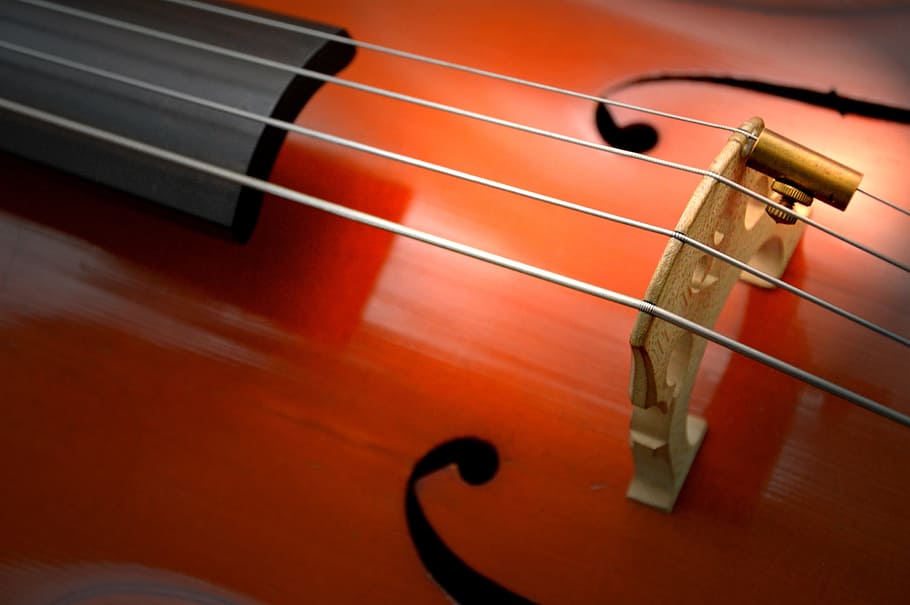 brown violin, cello, strings, stringed instrument, wood, instrument, classical music, musical instrument, brown, classic