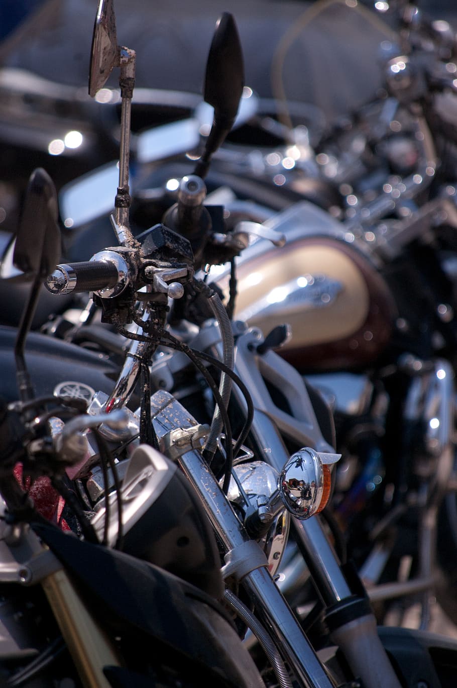 bike, romania, harley davidson, motorcycles, motorbike, chopper, ride, harley, davidson, lifestyle
