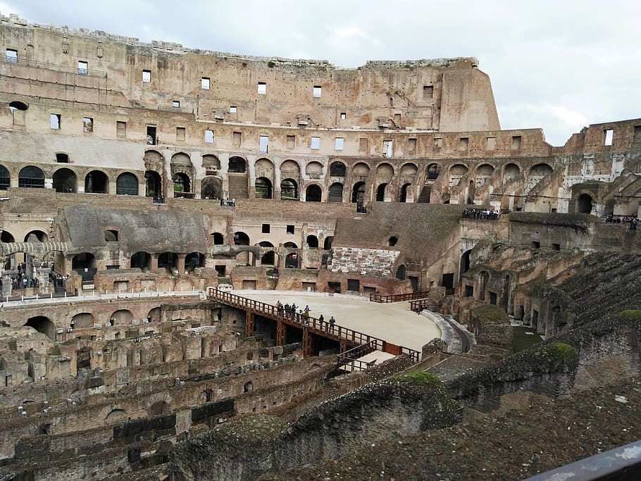 Colosseum, Rome, Heritage, coliseum, amphitheater, rome - Italy, italy, stadium, roman, roman Forum