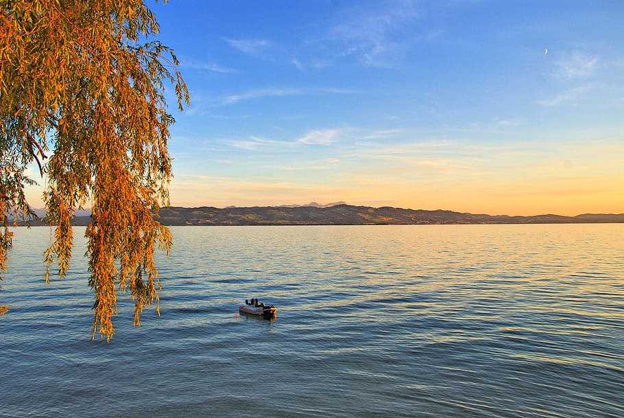 Lake Constance, Wasserburg, lago, amanecer, otoño, agua, cielo, belleza en la naturaleza, frente al mar, paisajes: naturaleza