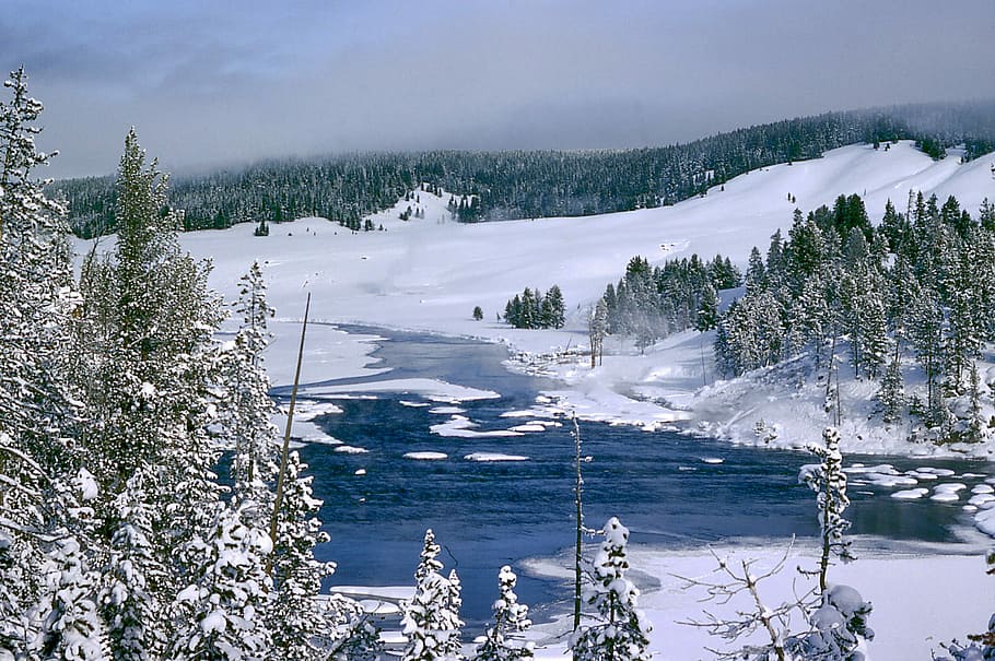 winter landscape scene, yellowstone, national, park, Winter, landscape, scene, Yellowstone National Park, Wyoming, lake
