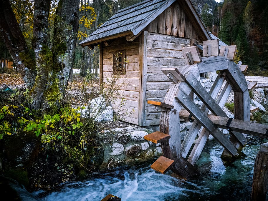 slovenia, log cabin, waterwheel, water, wood - material, water wheel, tree, plant, architecture, nature