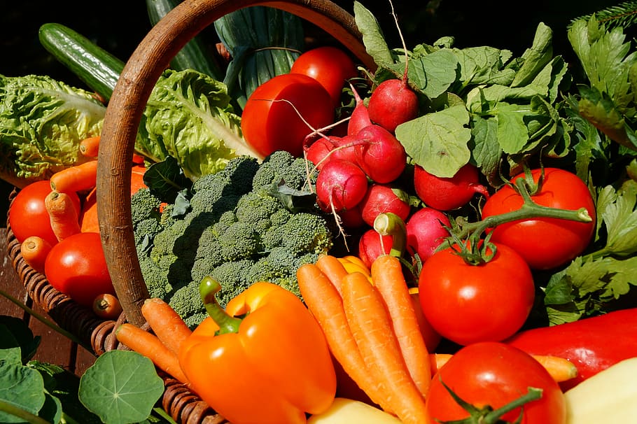 lote de vegetais de cores sortidas e padrão, legumes, vegetariano, tomate, comida, vitaminas, vegan, comer, mercado de vegetais, jardim