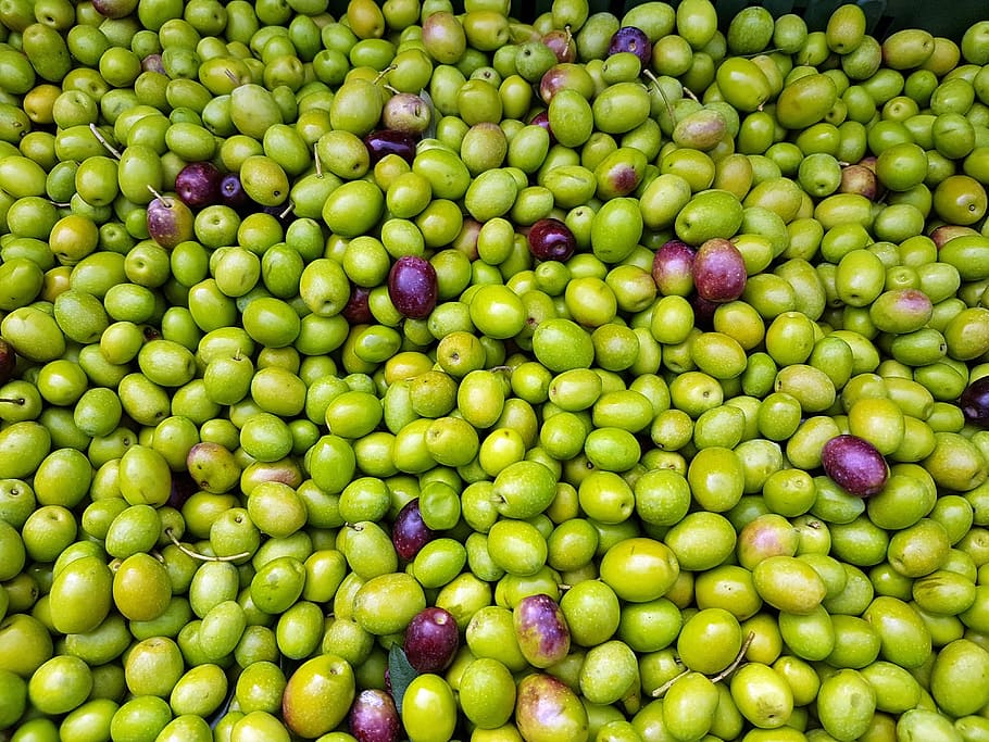 green fruit lot, olives, fruit, mediterranean, natural, harvest, organic, full frame, abundance, food and drink
