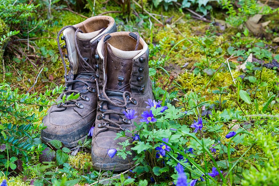 hiking, nature, hike, shoes, recovery, plant, shoe, growth, day, flower