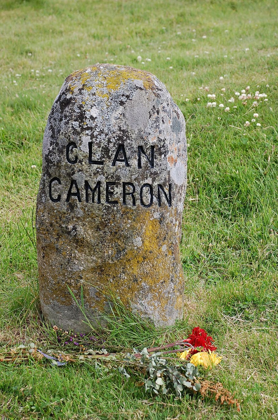 tombstone, battlefield, scotland, grave, war, history, memorial, culloden, headstone, plant