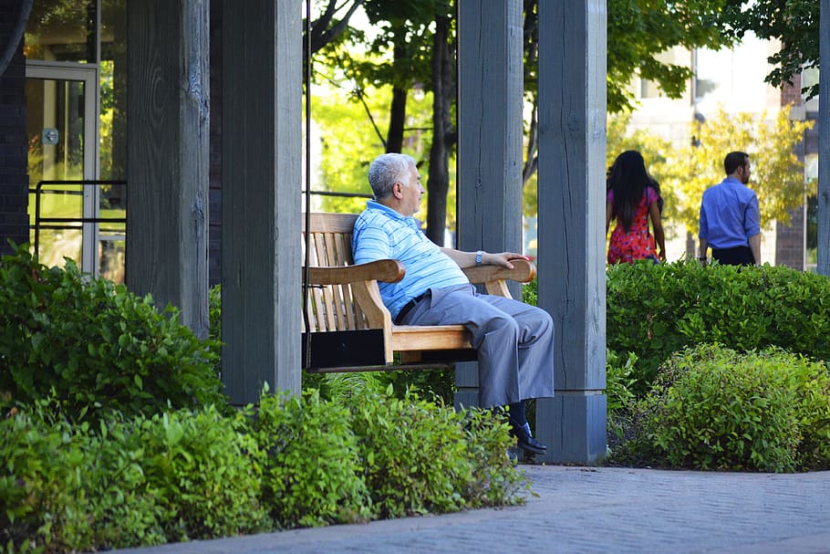 man, sitting, brown, bench, middle-aged, elderly, old, middle aged man, male, relaxing