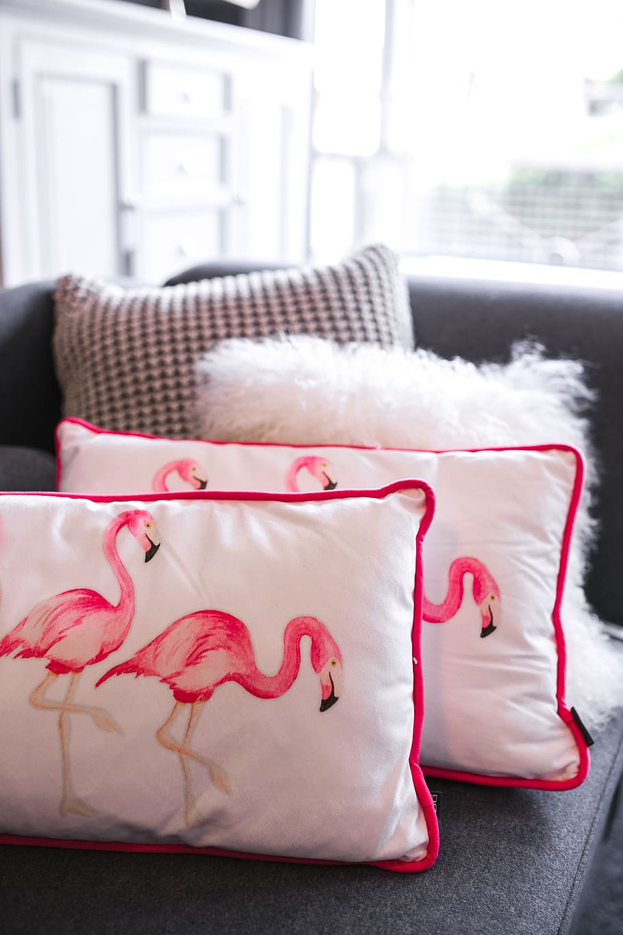 interior, decoração da casa, rosa, Flamingo, casa, decorações, vermelho, móveis, sofá, dia