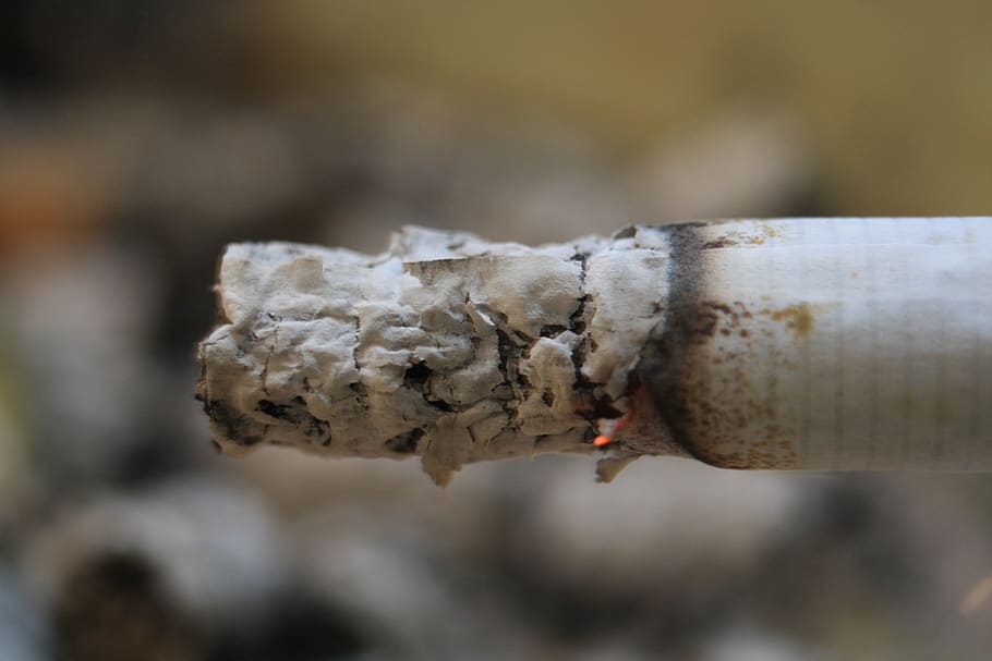 nature, close up, cigarette, ash, focus on foreground, close-up, selective focus, day, outdoors, plant