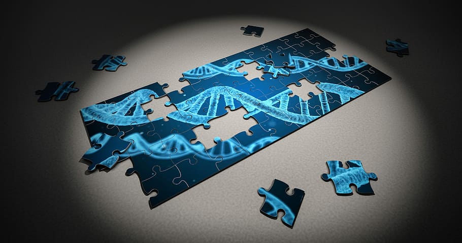 raso, fotografia com foco, azul, preto, quebra-cabeça, DNA, pesquisa, genética, peça, 3d