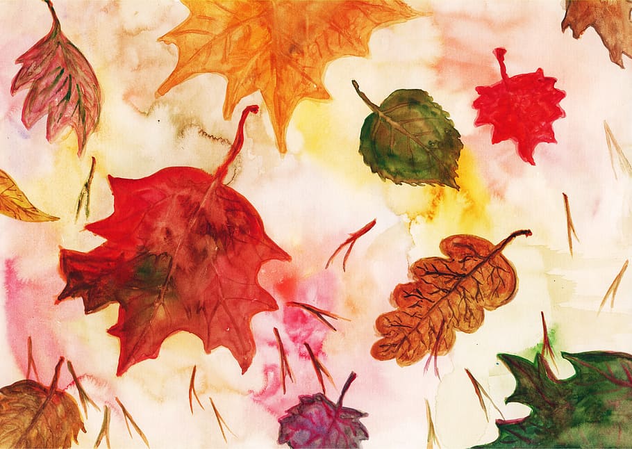 maple leaf illustration, leaf, maple leaves, red leaf, autumn leaf, autumn leaves, oak leaf, watercolor, dead leaf, leaves