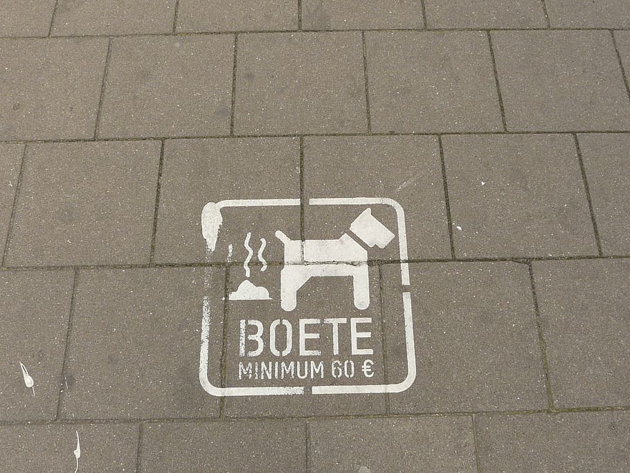 Foto de primer plano, signo boete, perro, moco, bien, prohibido, Bélgica, acera, heces, buena ciudadanía