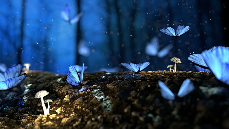 blue butterflies photo, butterfly, 3d, blue, mushroom, forest, fantasy, outdoors, day, close-up