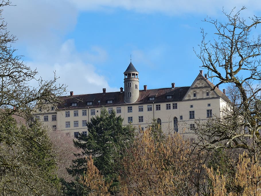 castillo de heiligenberg, castillo, estilo renacentista, renacimiento, montaña sagrada, linzgau, alemania, edificio, arquitectura, árbol
