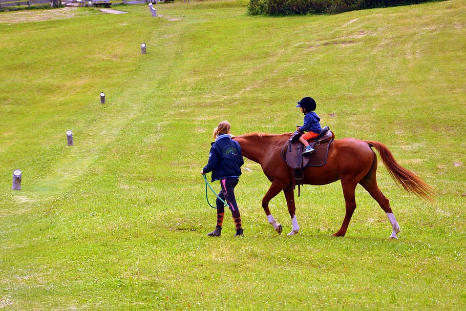 horse, horse racing, ride, accompany, child, instructor, prato, domestic animals, domestic, livestock