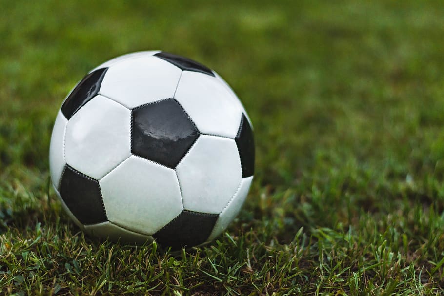 pelota, fútbol, ​​juego, hierba, campo, deporte, deportes, césped, deporte de equipo, balón de fútbol