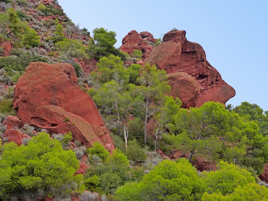 mountains, montsant, red sandstone, forms, erosion, priorat, rock, plant, rock - object, rock formation