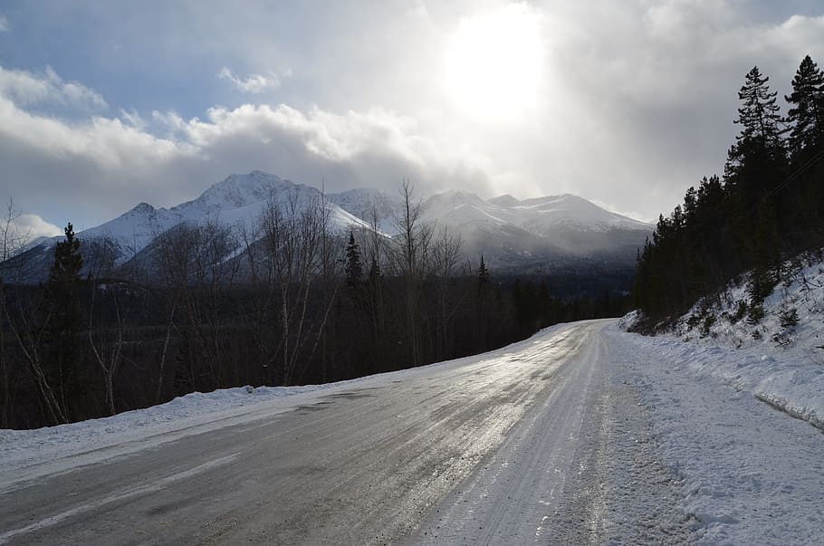 Icy, Road, Mountain, Sun, Pine Trees, icy road, snow, ice, cold, winter