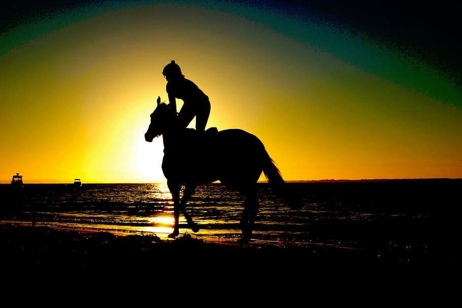 силуэт, сидения для людей, Лошадь, закат солнца, природа, вода, море, океан, солнце, животные